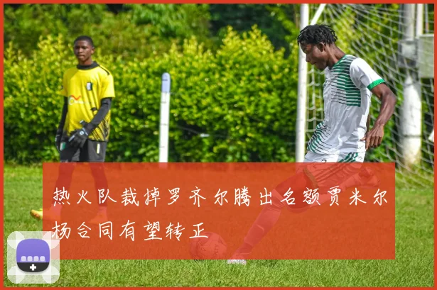 热火队裁掉罗齐尔腾出名额贾米尔杨合同有望转正