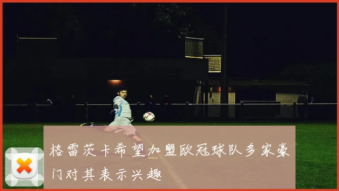 格雷茨卡希望加盟欧冠球队多家豪门对其表示兴趣